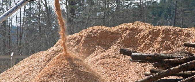 woodchips1-850x288